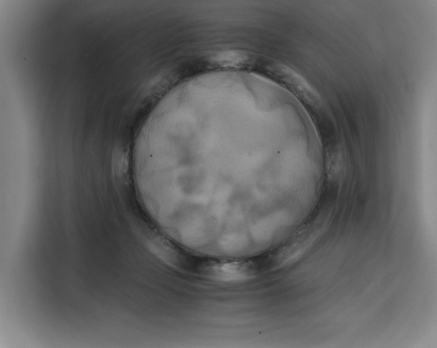 X0000111150365200907141346