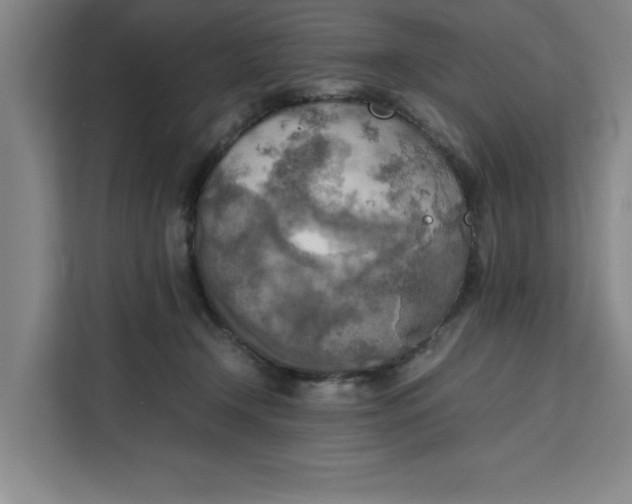X0000111150366200907141346