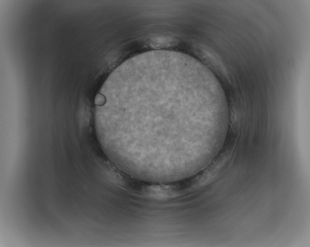 X0000111150367200907141346