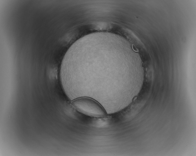 X0000111150368200907141346