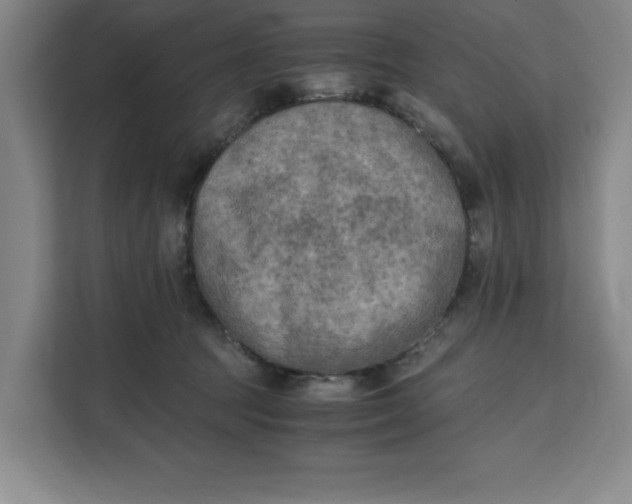 X0000111150369200907141346