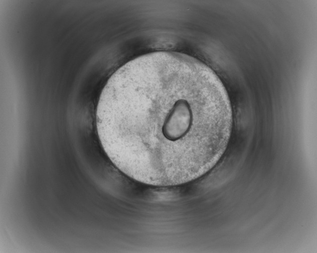 X0000111150370200907141346