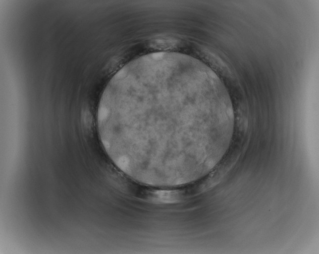X0000111150371200907141346