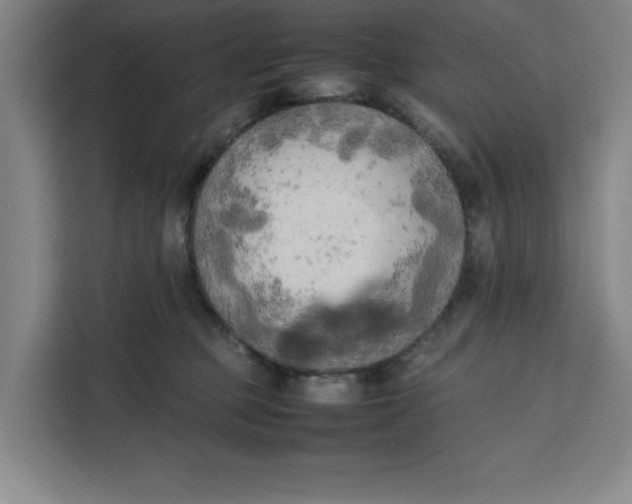 X0000111150373200907141346