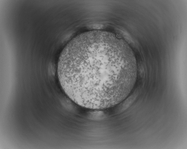 X0000111150374200907141346