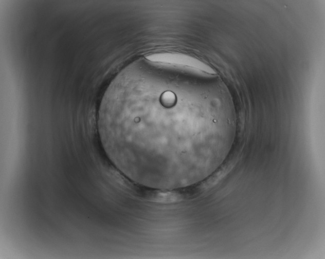 X0000111150376200907141346