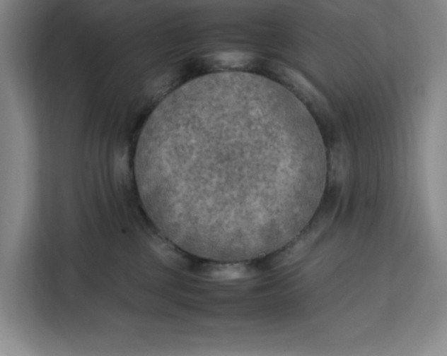 X0000111150377200907141346