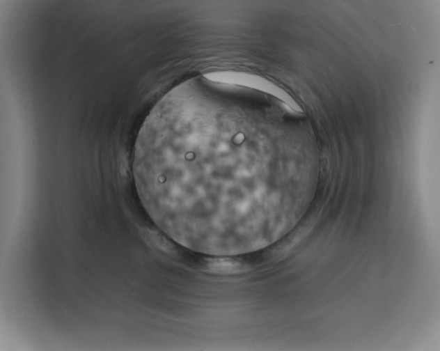 X0000111150380200907141346