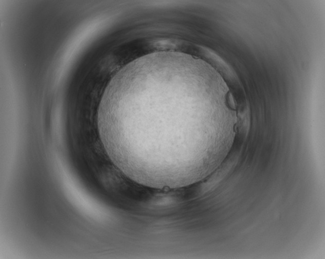 X0000111150381200907141346