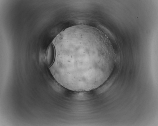 X0000111150382200907141346