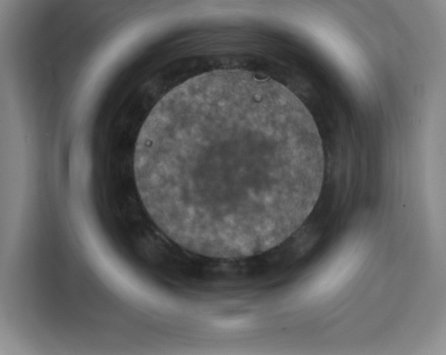 X0000111150383200907141346