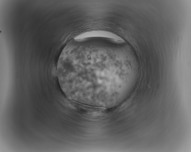 X0000111150384200907141346