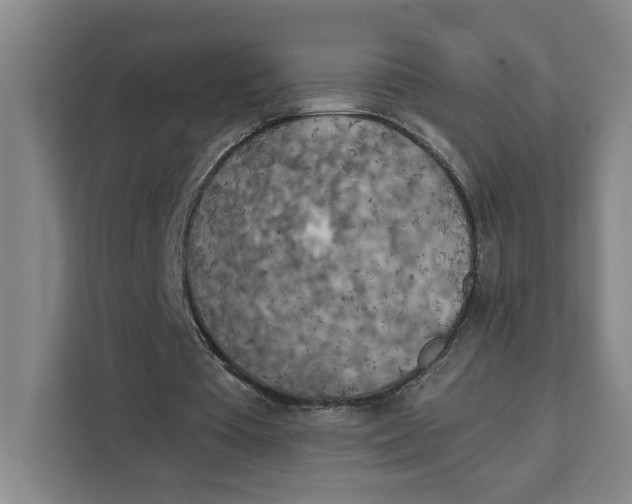 X0000111150385200907141346