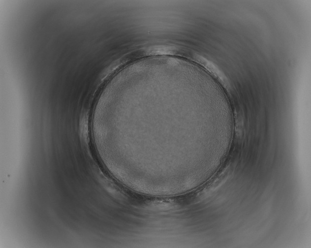 X0000111150386200907141346