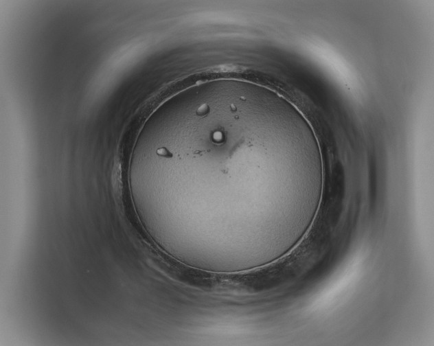 X0000111150387200907141346