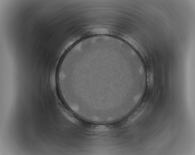X0000111150390200907141345