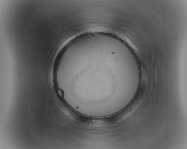 X0000111150391200907141345