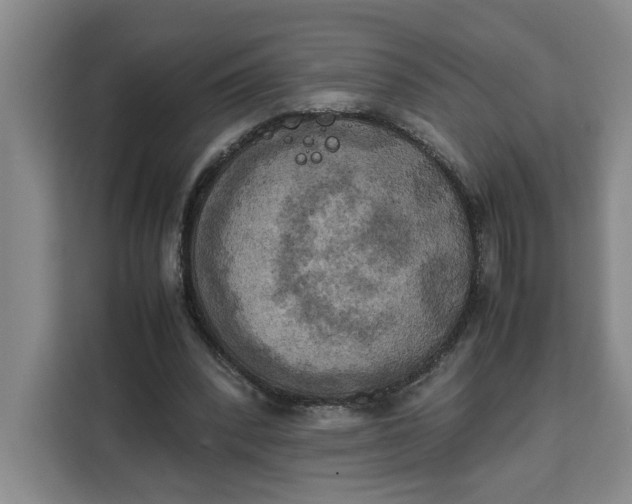 X0000111150392200907141345