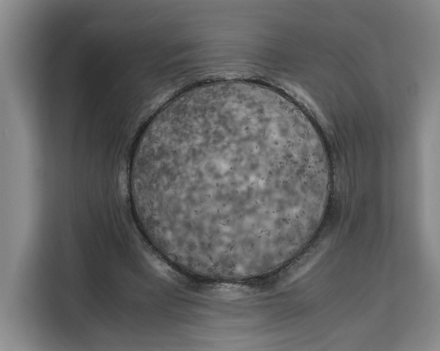 X0000111150393200907141345