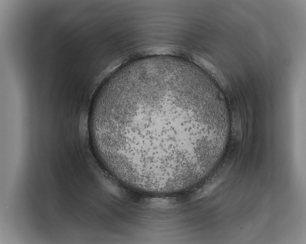 X0000111150394200907141345