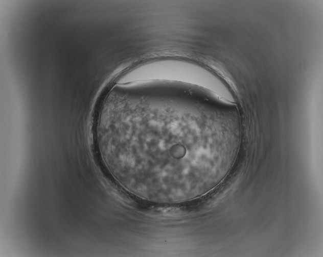 X0000111150395200907141345