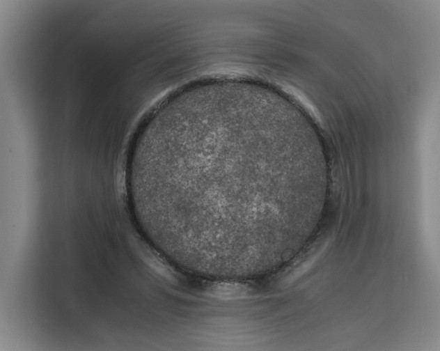 X0000111150399200907141345
