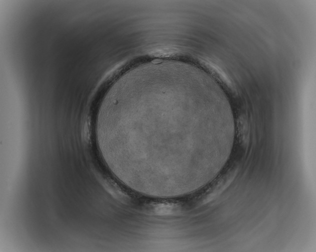 X0000111150400200907141345