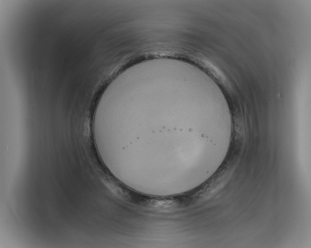 X0000111150401200907141345