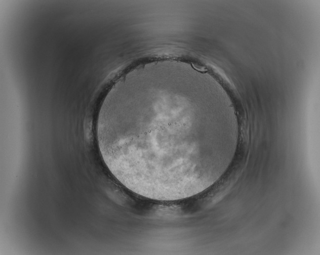 X0000111150403200907141345