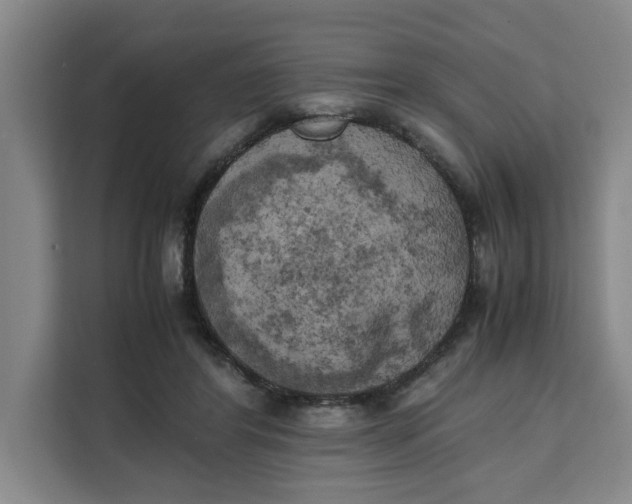 X0000111150404200907141345