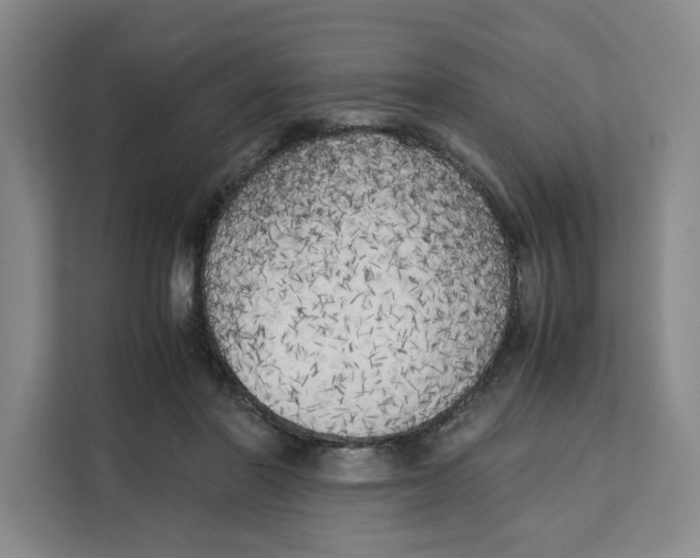 X0000111150406200907141345
