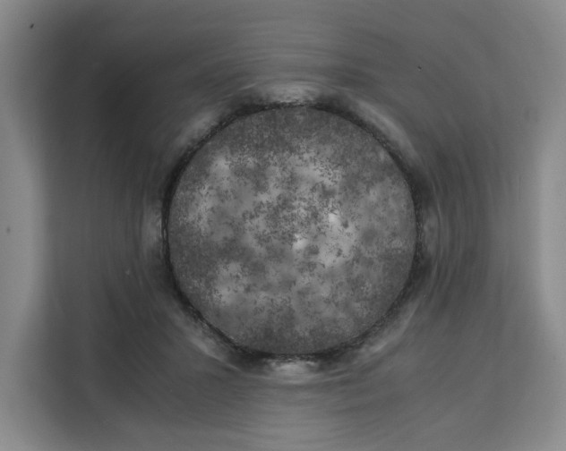 X0000111150407200907141345