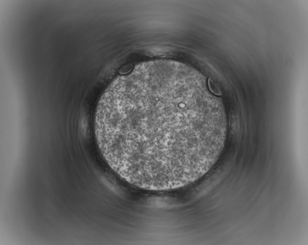 X0000111150408200907141345