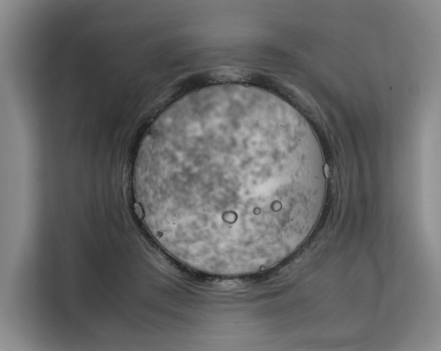 X0000111150409200907141345