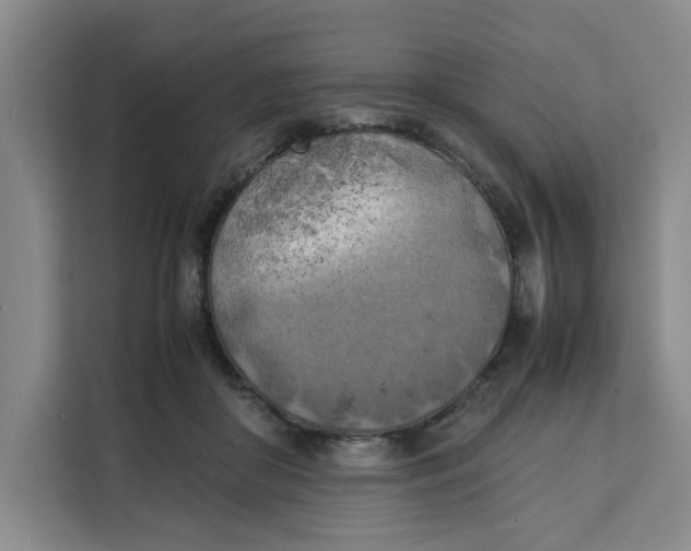 X0000111150410200907141345