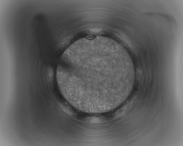 X0000111150412200907141345