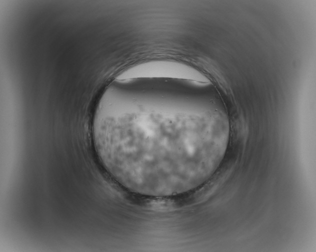 X0000111150415200907141345