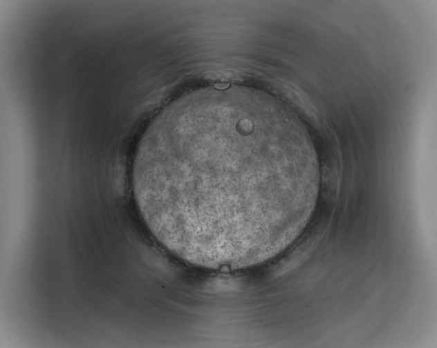X0000111150416200907141345