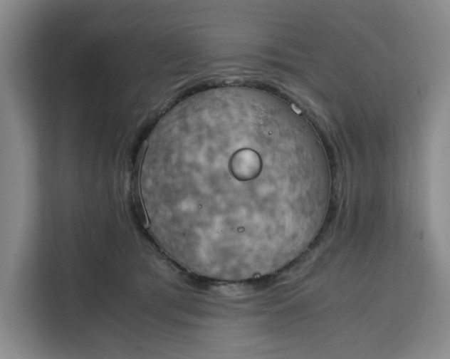 X0000111150417200907141345