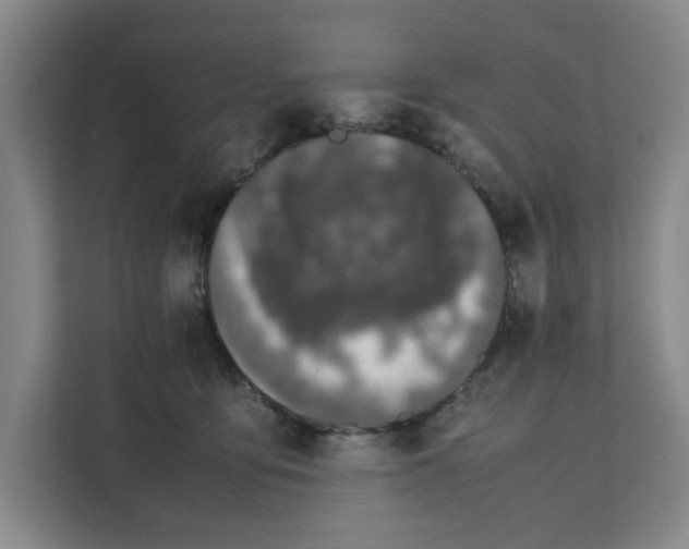 X0000111150419200907141345