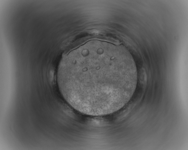 X0000111150420200907141345