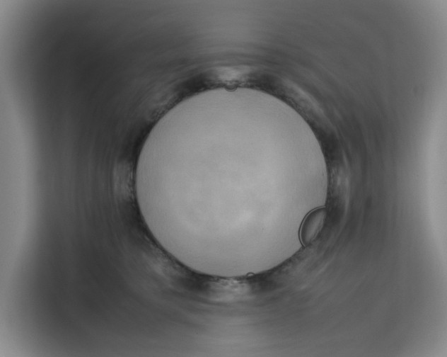 X0000111150421200907141345