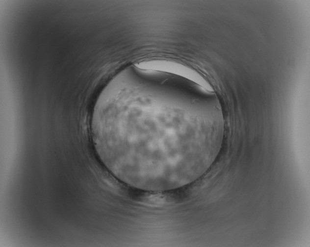 X0000111150423200907141345