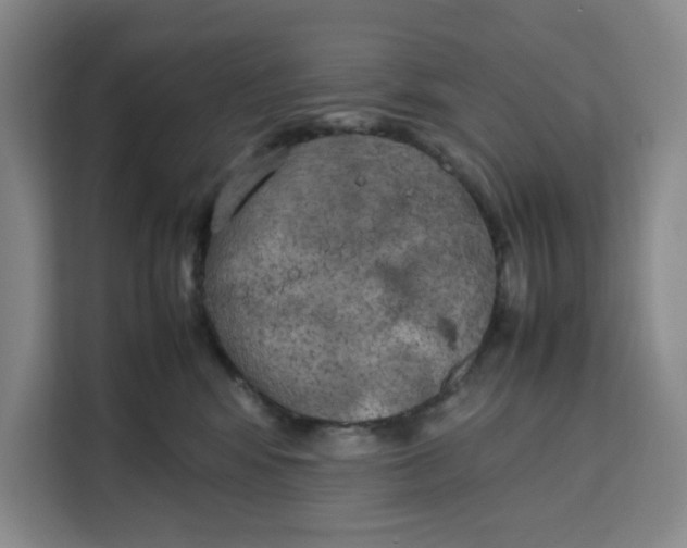 X0000111150424200907141345