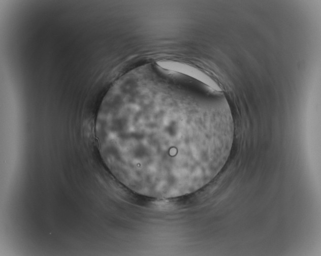 X0000111150425200907141345