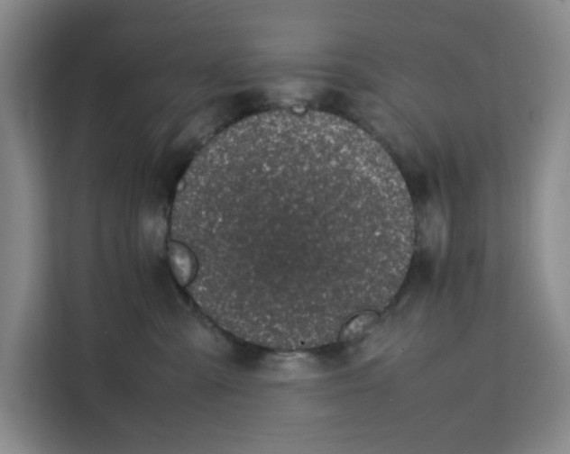 X0000111150427200907141345