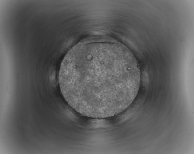 X0000111150428200907141345
