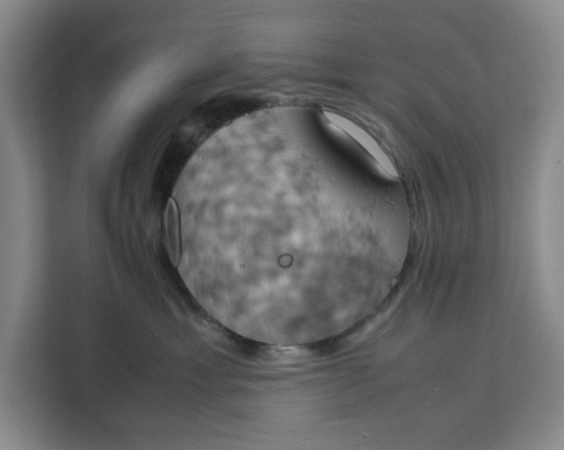 X0000111150429200907141345