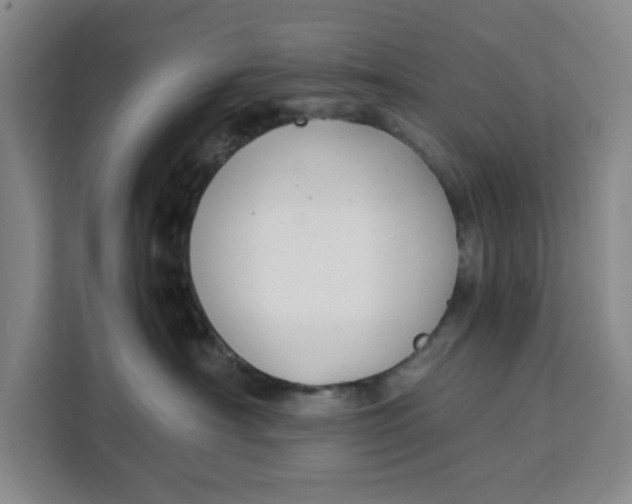 X0000111150430200907141345