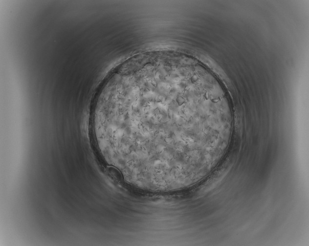X0000111150434200907141344